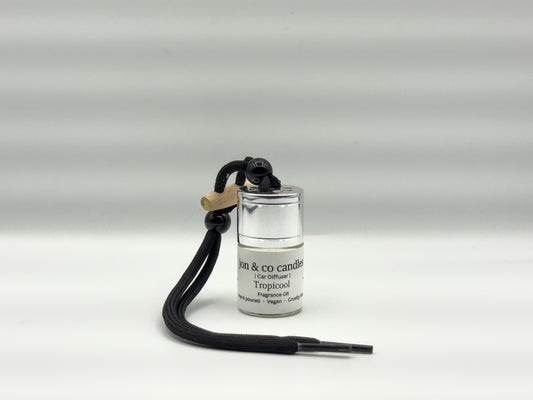 Car diffuser Large